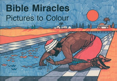 Bible Miracles (Paperback)