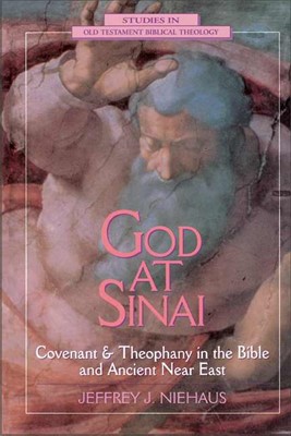 God At Sinai (Paperback)