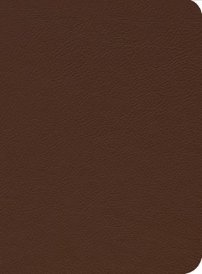 ESV Reformation Study Bible, Brown (Leather Binding)