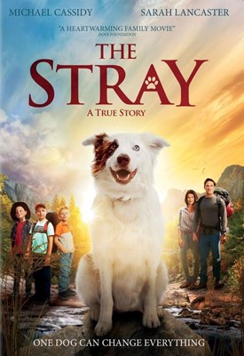 The Stray DVD (DVD)
