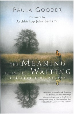 The Meaning Is In The Waiting (Paperback)