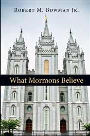 What Mormons Believe (Paperback)