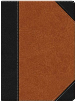 HCSB Study Bible, Black/Brown Leathertouch (Imitation Leather)
