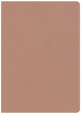 CSB She Reads Truth Bible, Rose Gold LeatherTouch, Indexed (Imitation Leather)