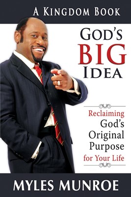 God's Big Idea (Paperback)