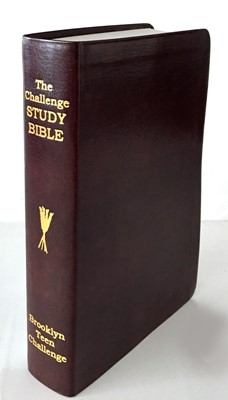 CEV Challenge Study Bible-Flexi Cover (Imitation Leather)