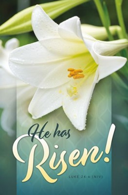 He Has Risen Easter Bulletin (Pack of 100) (Bulletin)