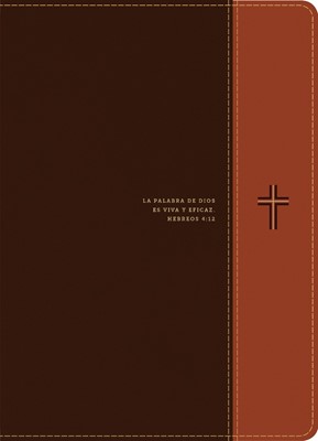 Biblia de estudio del diario vivir RVR60, letra grande (Imitation Leather)