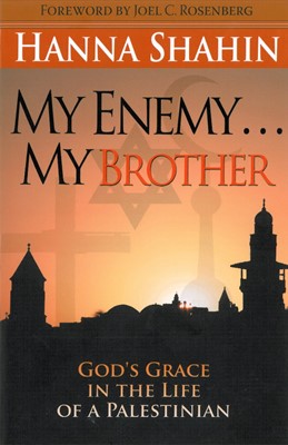 My Enemy My Brother (Paperback)