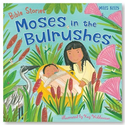 Moses in the Bulrushes (Paperback)