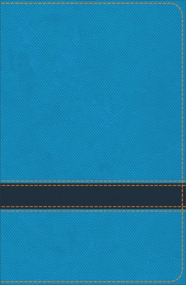 KJV Study Bible for Boys, Ocean/Navy (Imitation Leather)