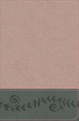 KJV Study Bible for Girls, Pink Pearl/Gray (Imitation Leather)