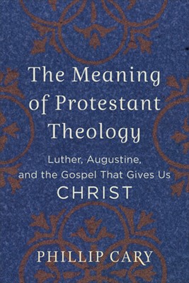 The Meaning of Protestant Theology (Paperback)