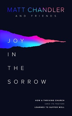Joy in the Sorrow (Paperback)