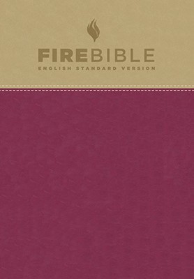 ESV Fire Bible, Tan/Berry (Imitation Leather)