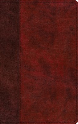 ESV Large Print Thinline Bible, TruTone, Burgundy/Red (Imitation Leather)