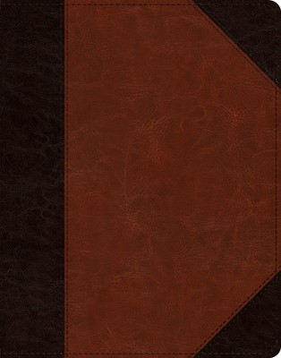 ESV Single Column Journaling Bible, TruTone, Brown/Cordovan (Imitation Leather)