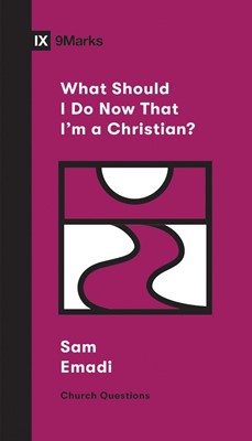 What Should I Do Now That I'm a Christian? (Paperback)