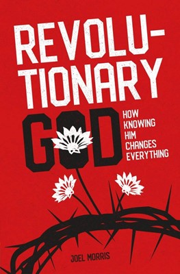 Revolutionary God (Paperback)