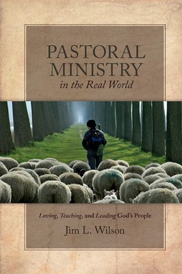 Pastoral Ministry in the Real World (Paperback)
