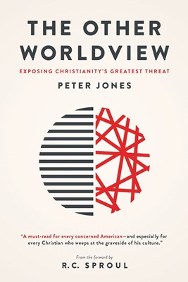 The Other Worldview (Paperback)