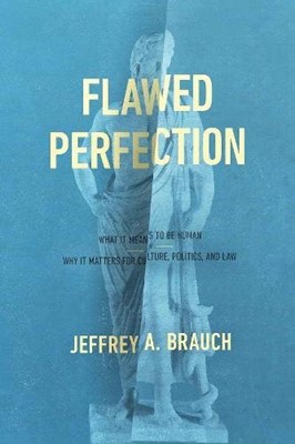 Flawed Perfection (Paperback)