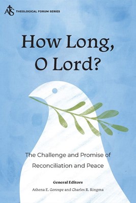 How Long, O Lord? (Paperback)