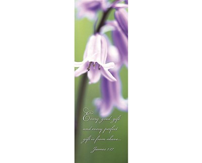 Every Gift Bookmark (Pack of 25) (Bookmark)