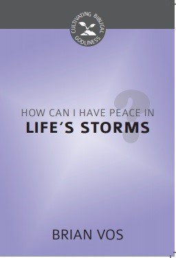 How Can I Have Peace in Life's Storms? (Paperback)