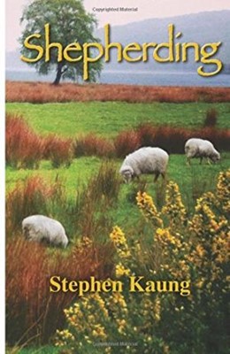 Shepherding (Paperback)
