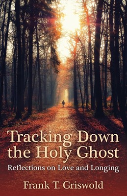 Tracking Down the Holy Ghost (Paperback)
