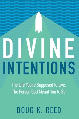 Divine Intentions (Paperback)