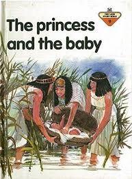 The Princess and the Baby (Hard Cover)