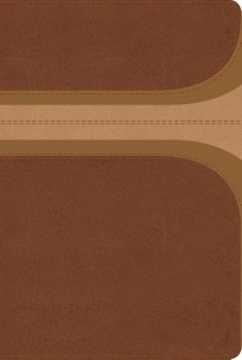 RVR 1960 Biblia de Estudio Arco Iris, canela/damasco, símil (Imitation Leather)