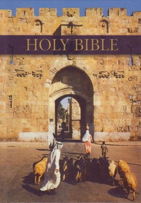 KJV Royal Ruby Illustrated Bible (Hard Cover)