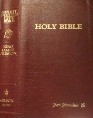 KJV Spirit Filled Life Bible Burgundy (Hard Cover)