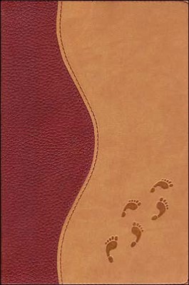KJV Visual Reference Bible Tan/Brown (Imitation Leather)