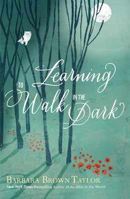 Learning To Walk In The Dark (Paperback)