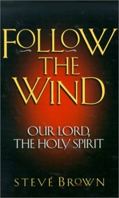 Follow the Wind (Paperback)