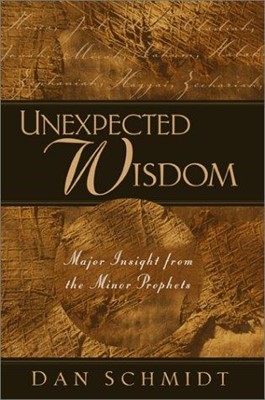 Unexpected Wisdom (Paperback)