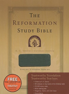 ESV Reformation Study Bible Grey (Imitation Leather)