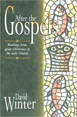 After the Gospels (Paperback)