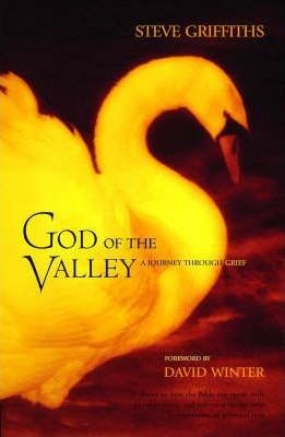 God of the Valley (Paperback)