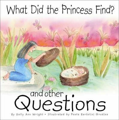 What Did the Princess Find? (Hard Cover)