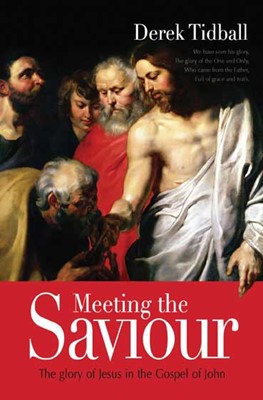 Meeting the Saviour (Paperback)