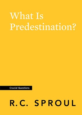 What is Predestination? (Paperback)