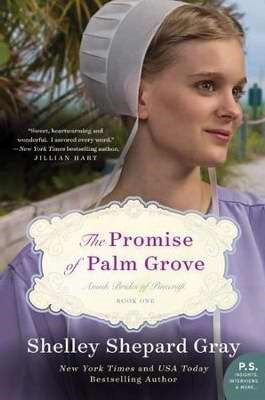 The Promise of Palm Grove (Paperback)