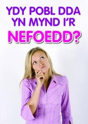 Ydy Pobl Dda Yn Mynd I'r Nefoedd Tracts (Pack of 50) (Tracts)