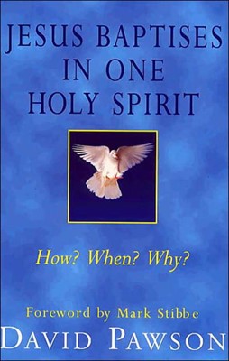 Jesus Baptises in One Holy Spirit (Paperback)