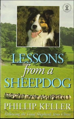Lessons from a Sheepdog (Paperback)